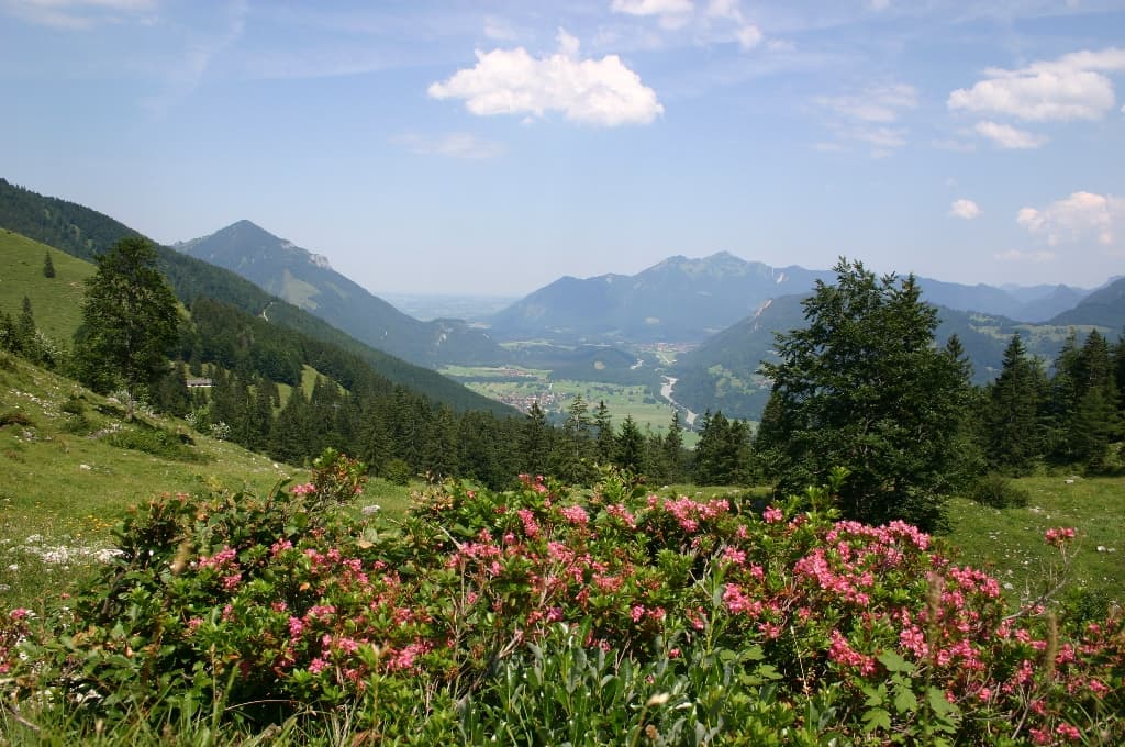 Wuhrstein-Alm