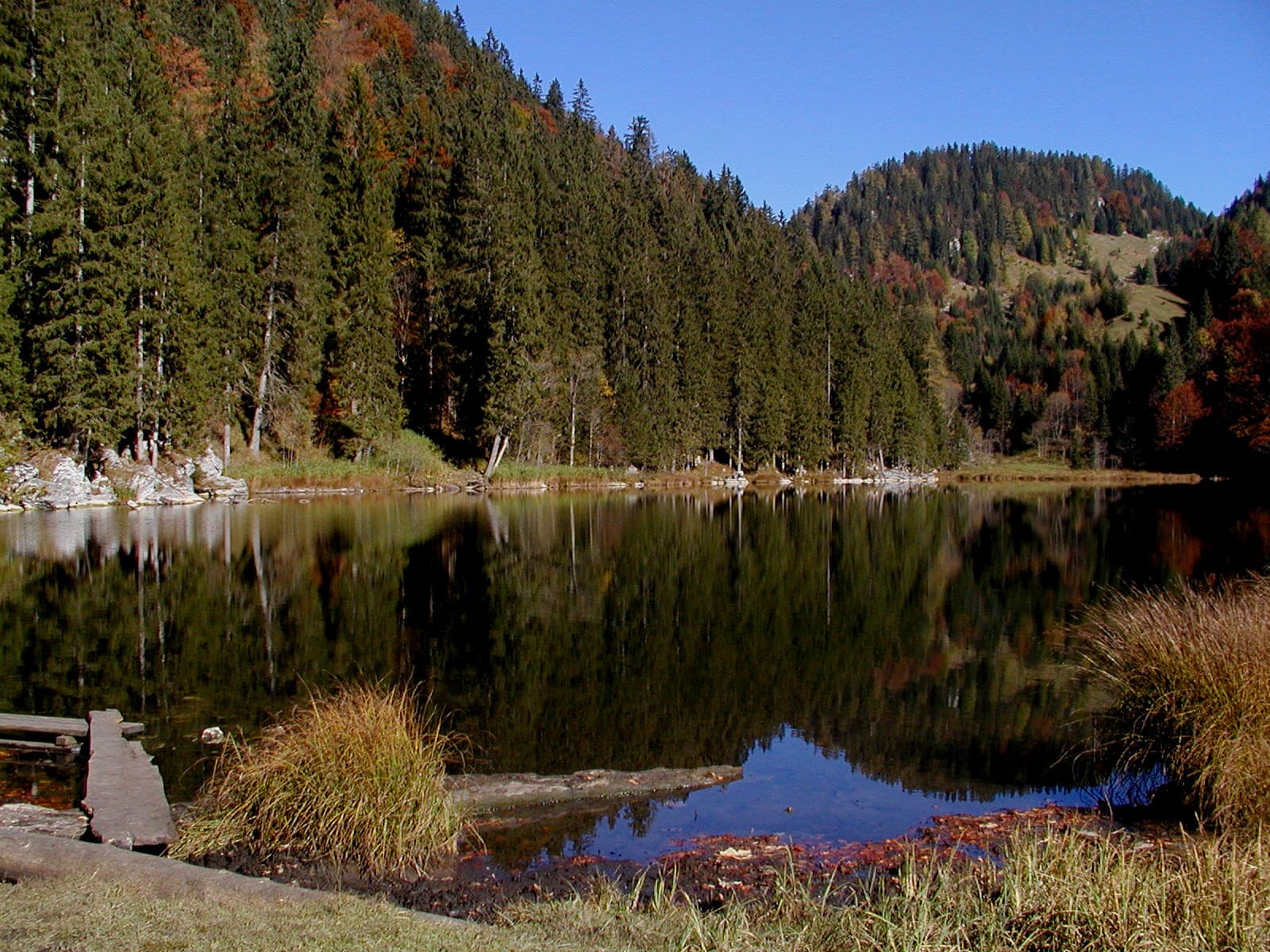 Taubensee