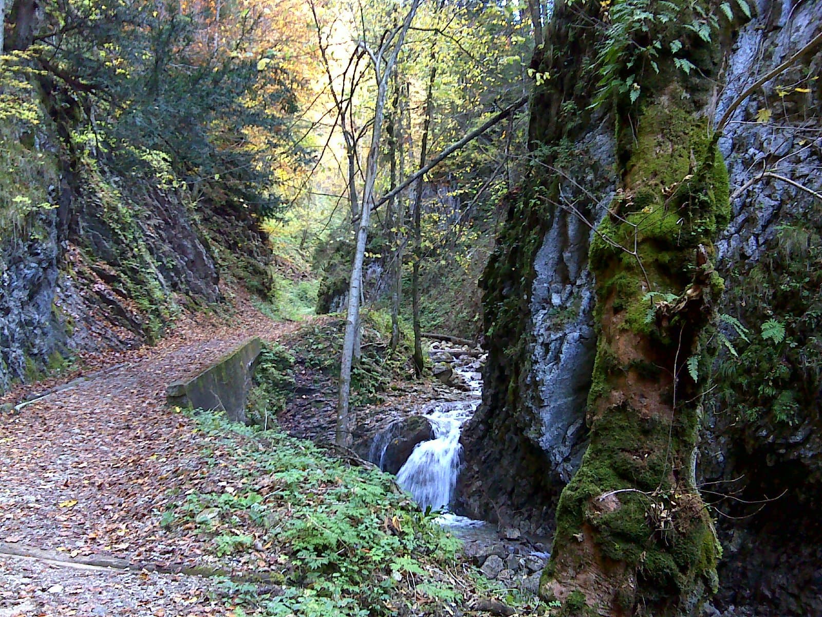 Hammererbach
