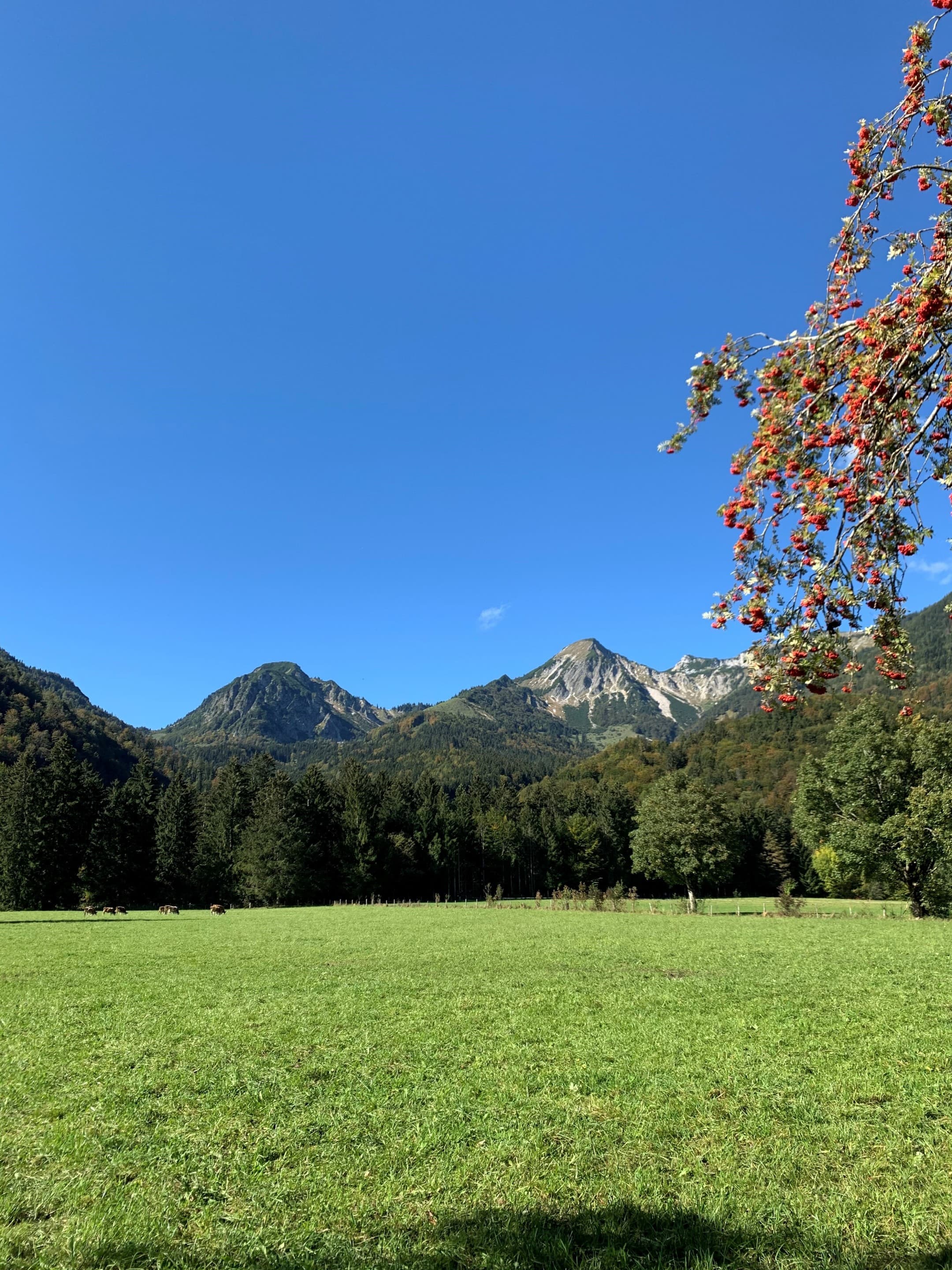 Blick auf Breiten- und Geigelstein