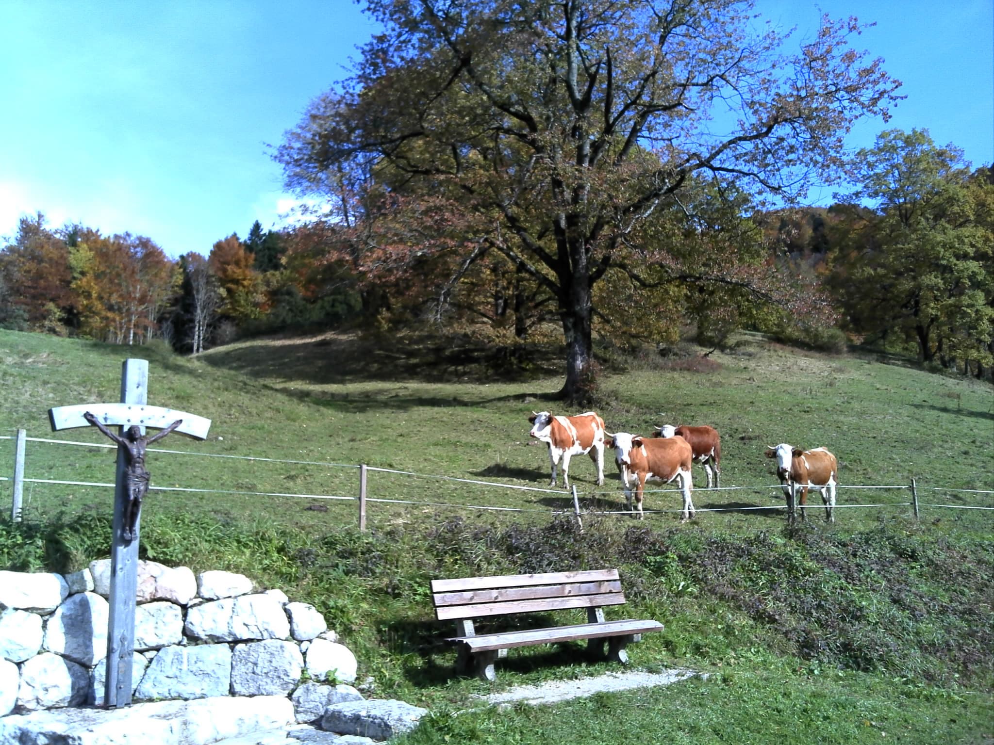 Marterl