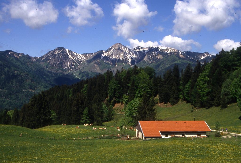 Donauer Alm