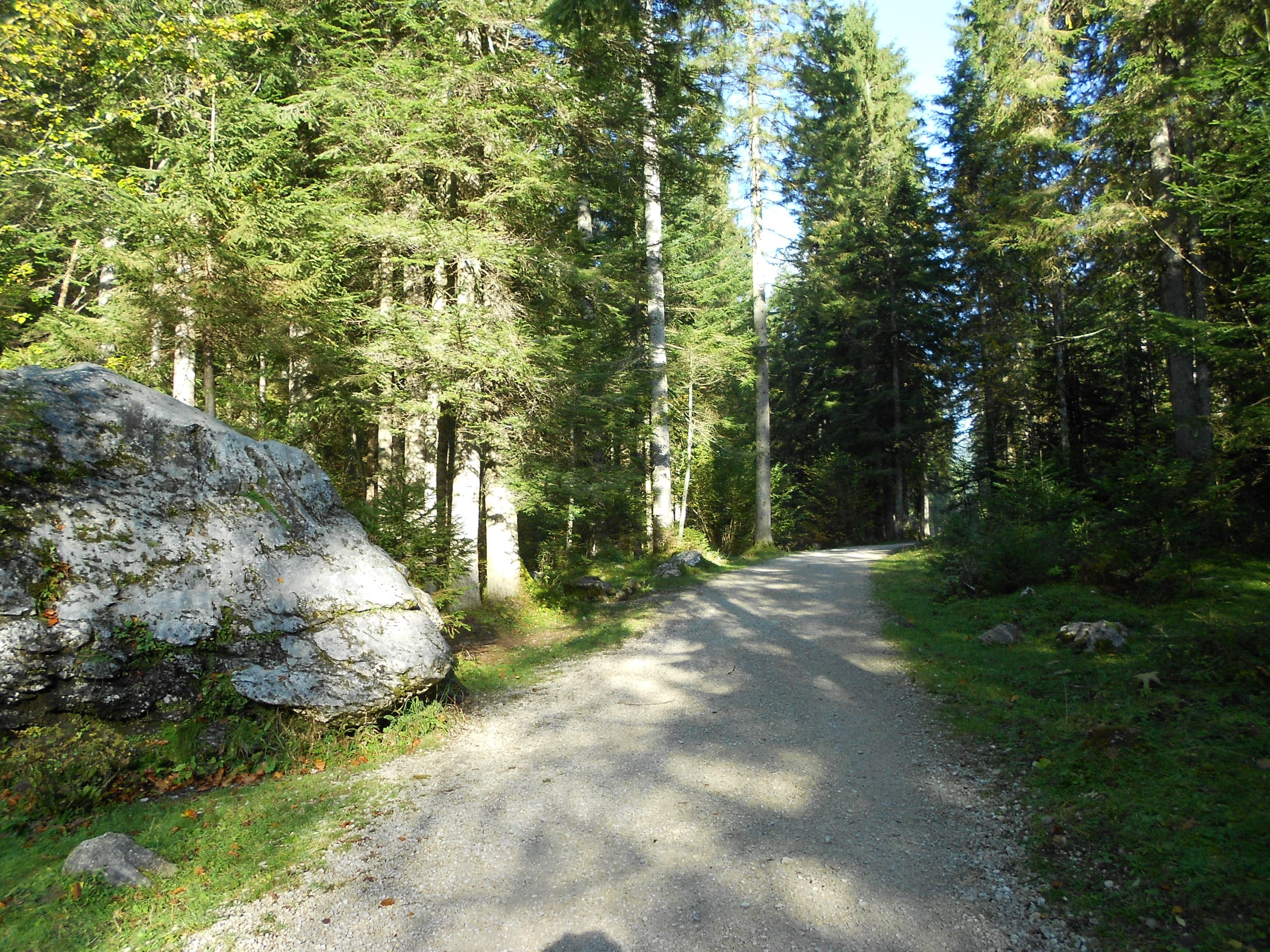 Wappbachtal
