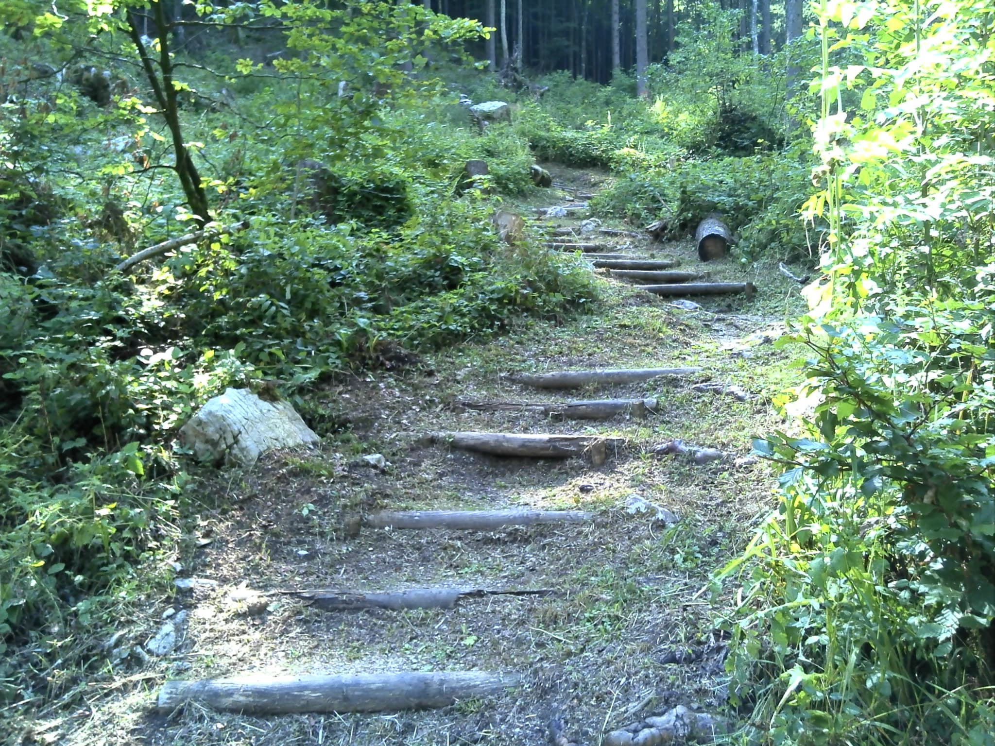Treppe am Eglsee