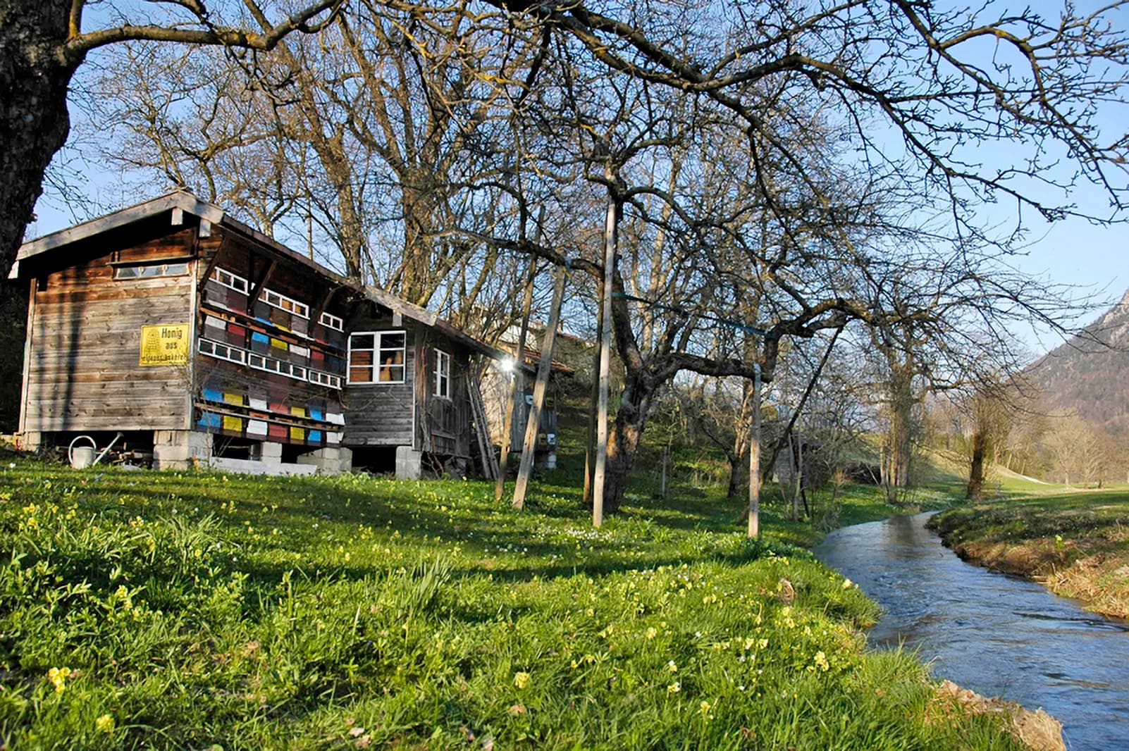 Loidl Hausladl, Bienenhäuser