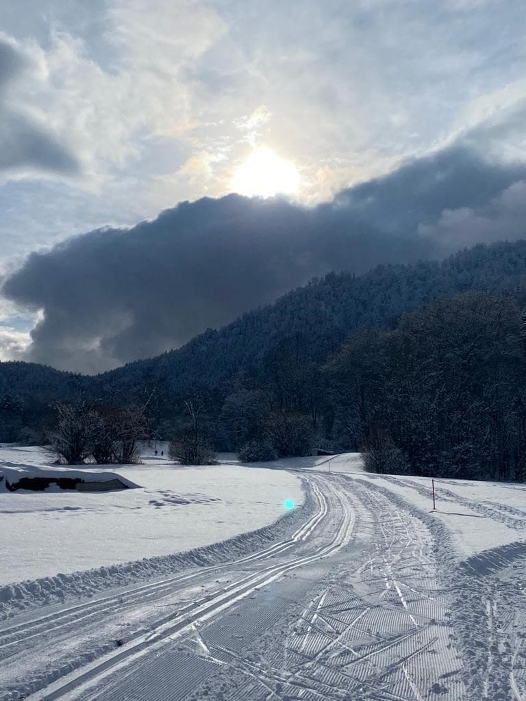 Am Balsberg