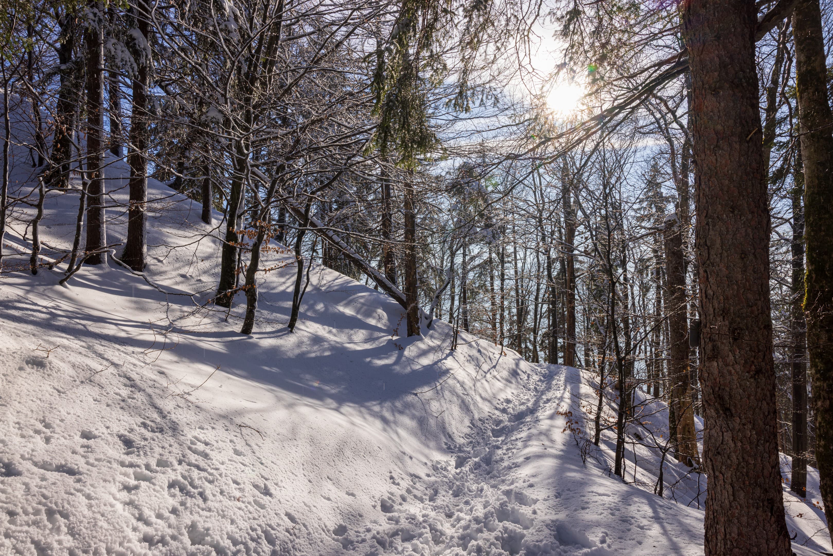 Winterwege