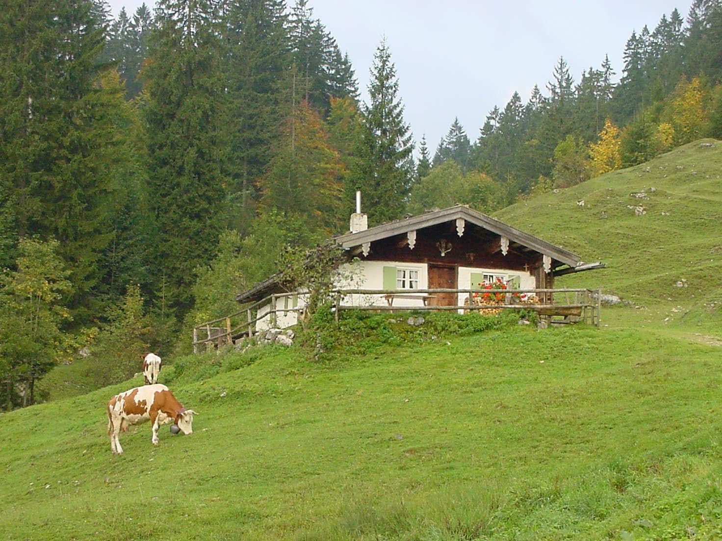 Bichl Kaser