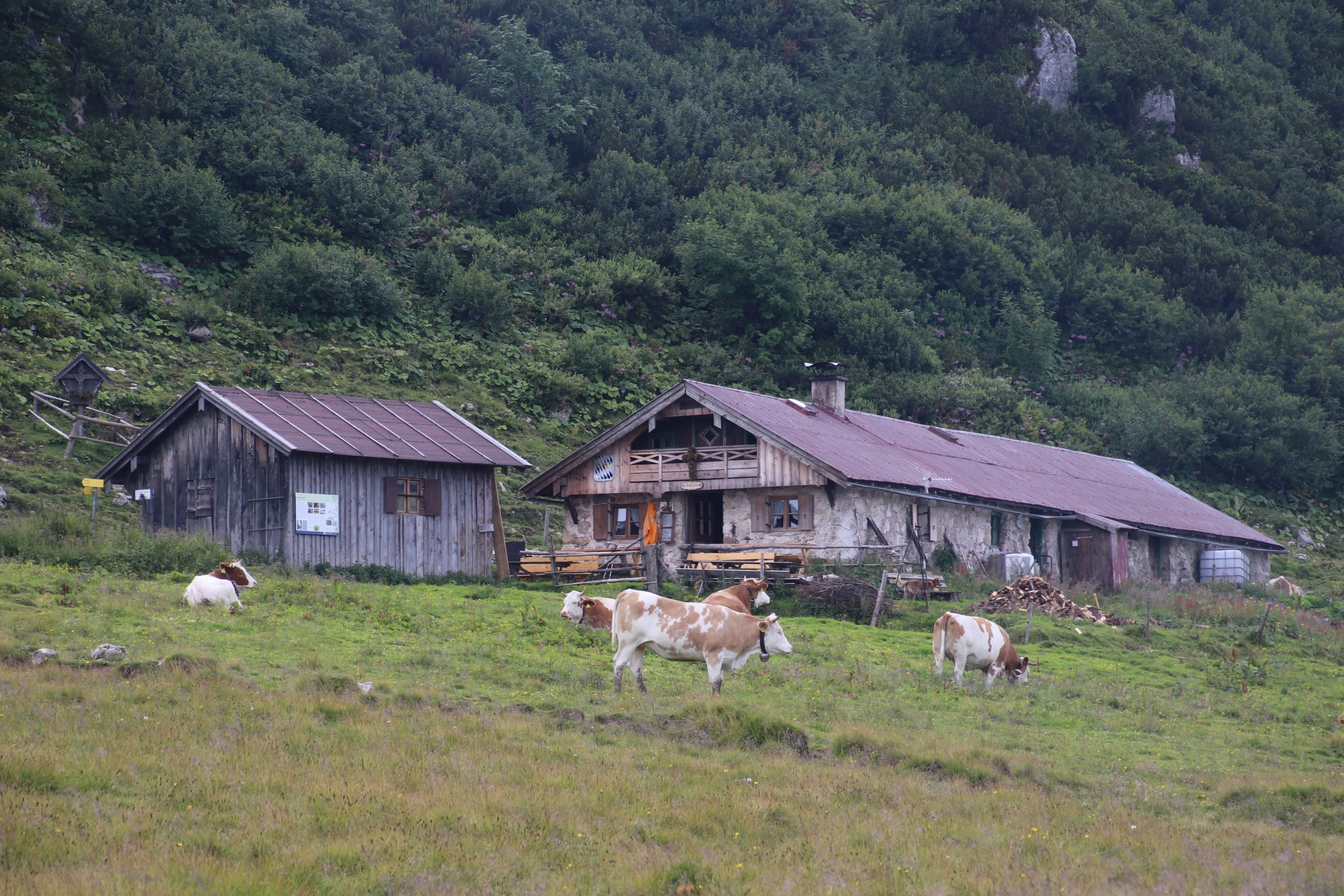 Rossalm