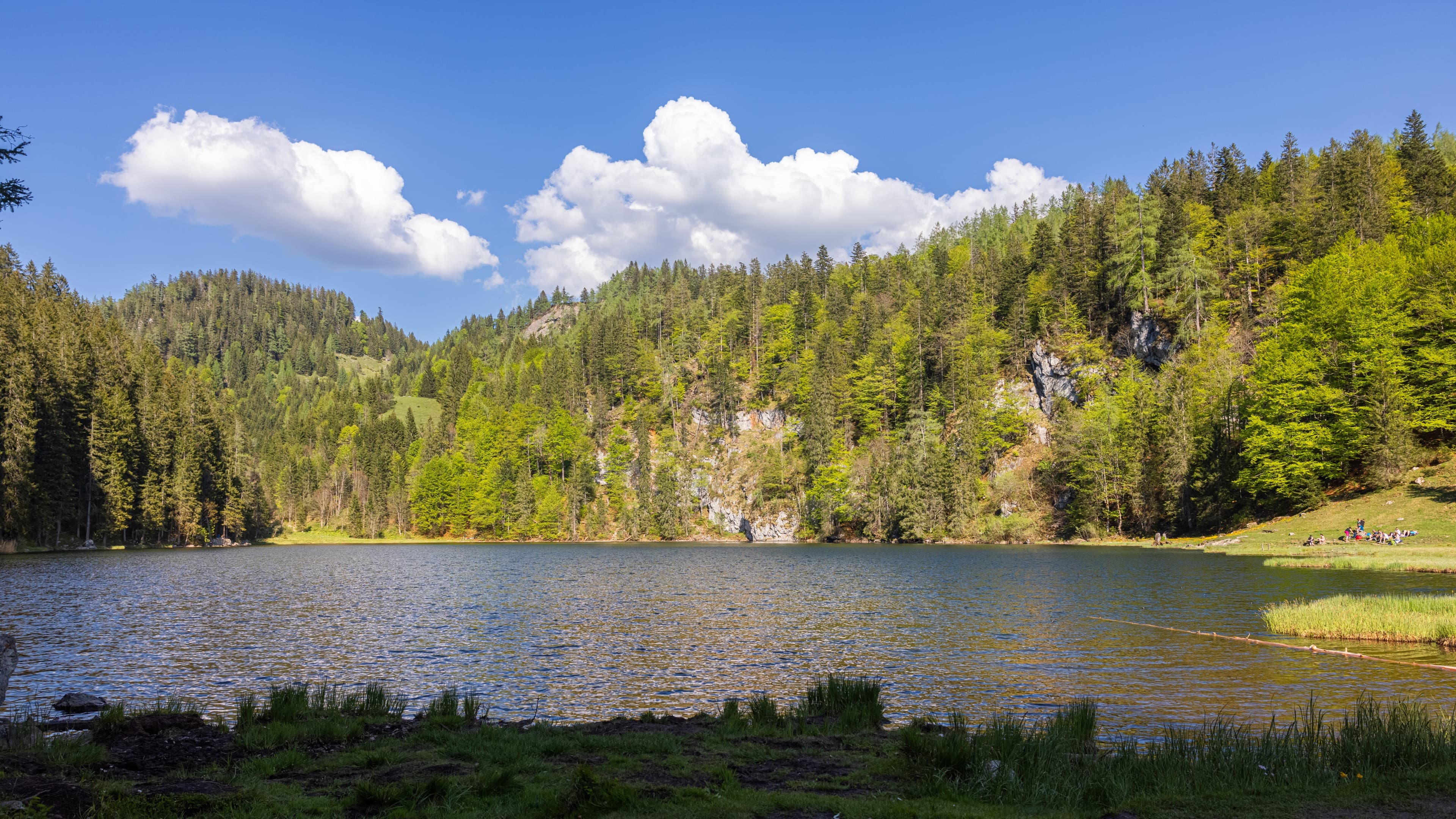 Taubensee