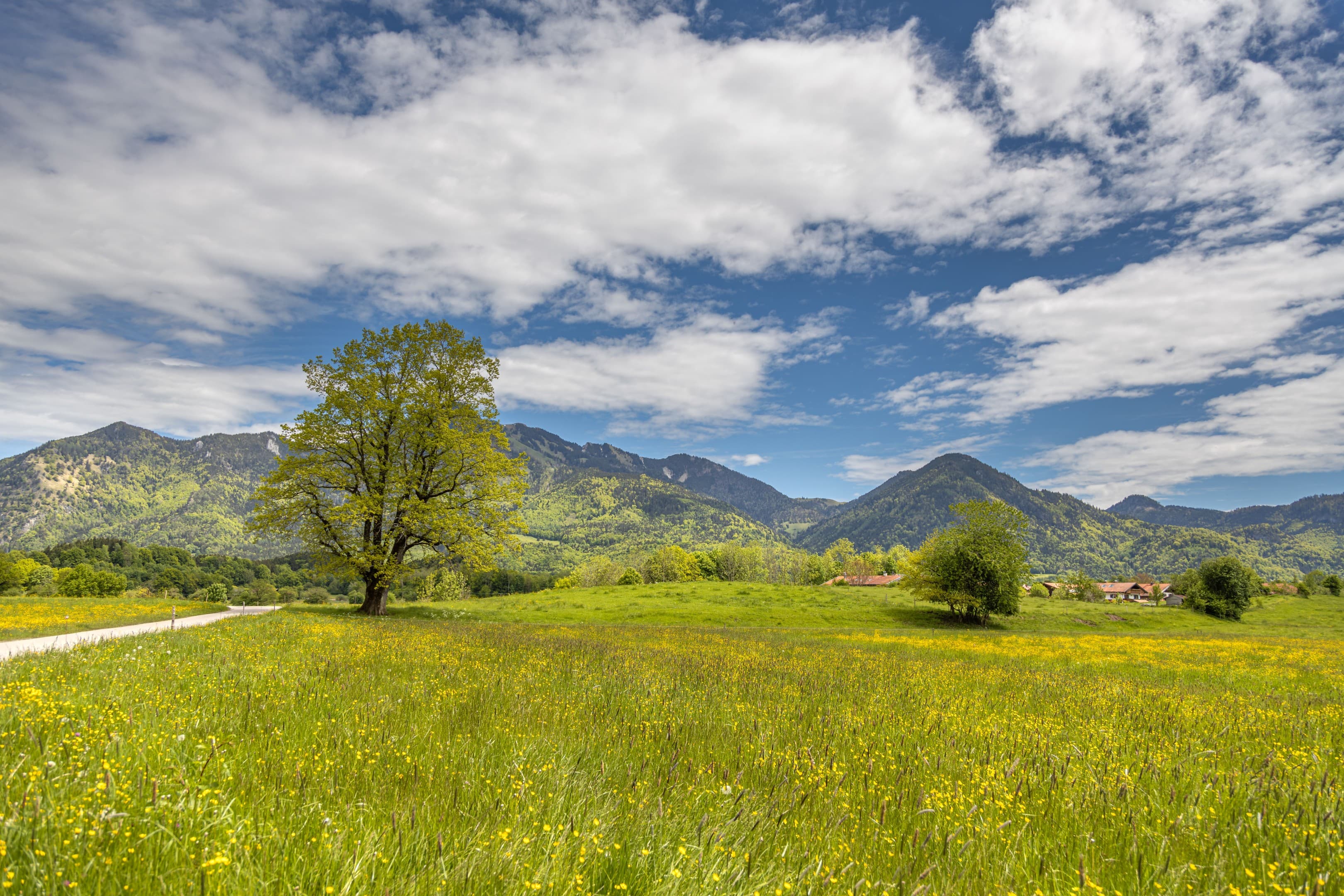 Ausblick von Raiten in Richtung Marquartstein Hochgerngebiet