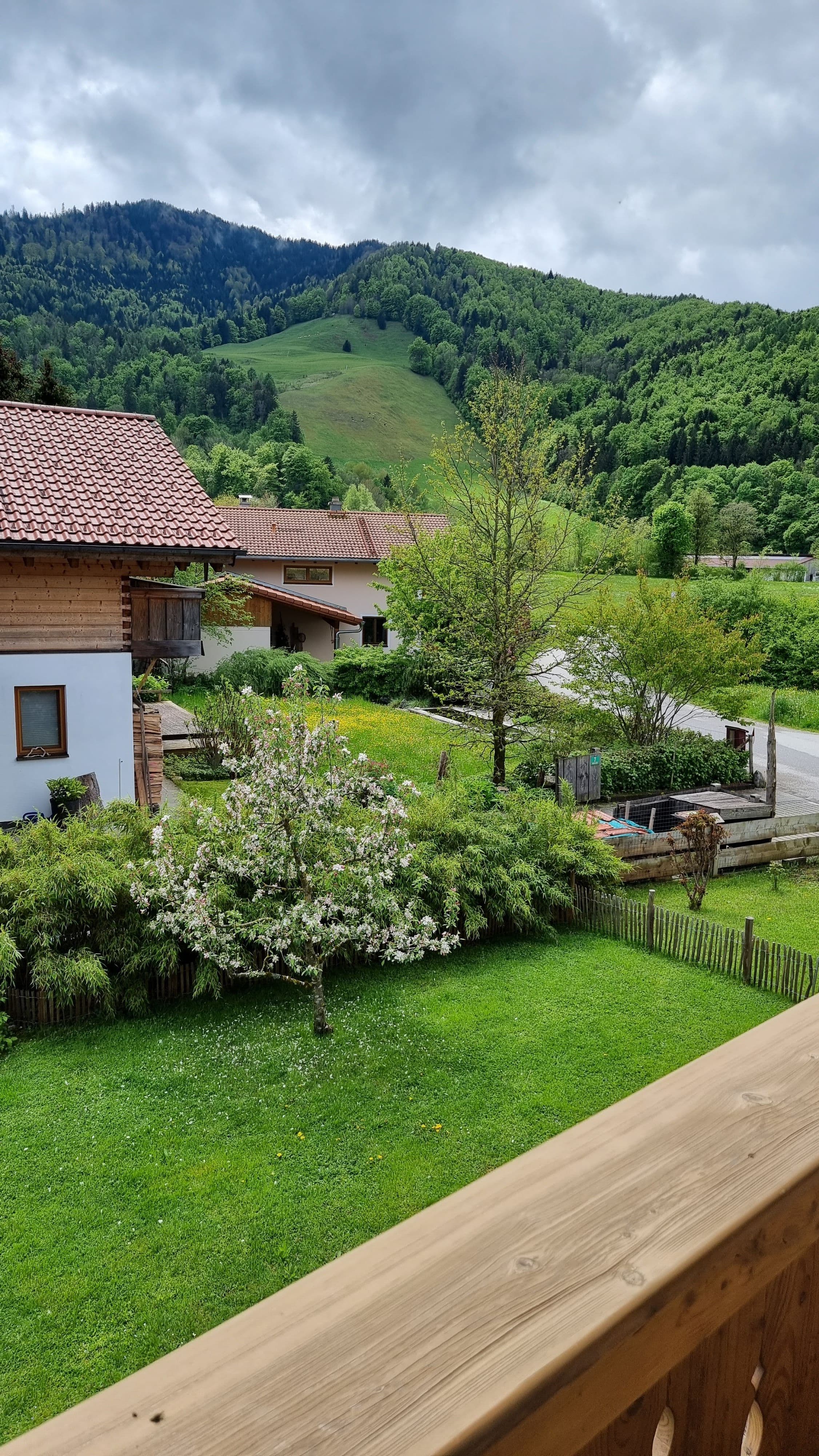 Blick vom Balkon FW2