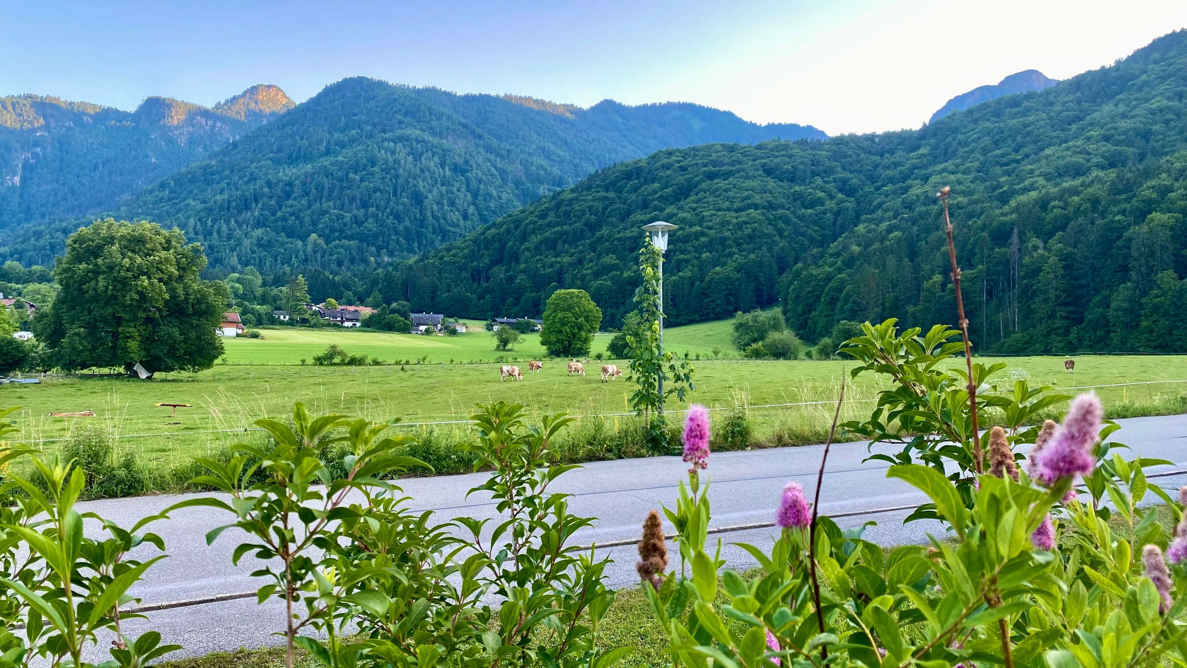 Ausblick von der Terrasse